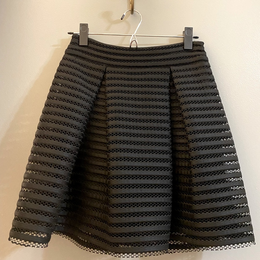 Black Mesh Fit & Flare Mini Skirt